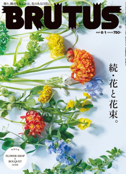 BRUTUS(ブルータス) 2021年6/1号 (発売日2021年05月17日) 表紙