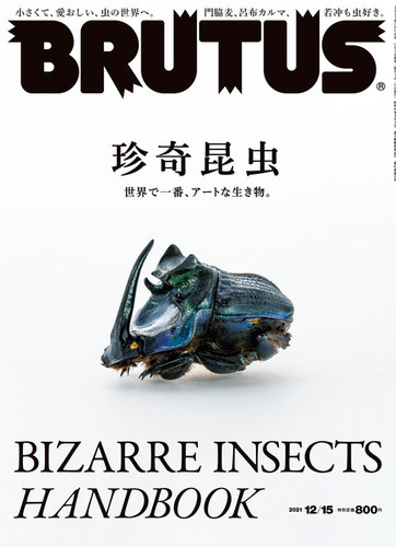 Brutus ブルータス 21年12 15号 発売日21年12月01日