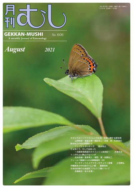 月刊むし 606 (発売日2021年07月20日) 表紙