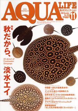 アクアライフ 11月号 (発売日2008年10月11日) 表紙