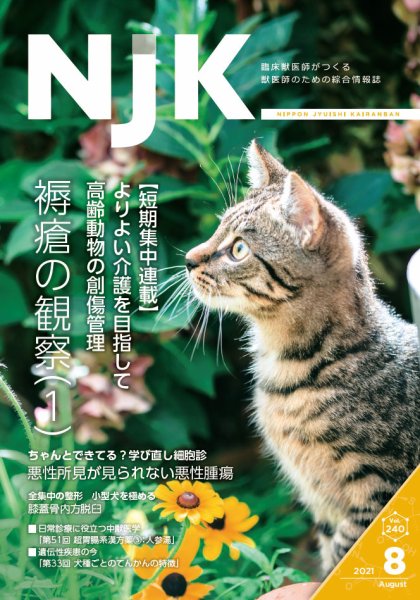 NJK Vol.240 (発売日2021年08月01日) 表紙