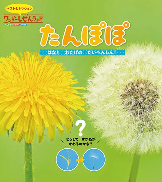 ワンダーしぜんランド 2021年4月号 (発売日2021年04月01日) 表紙