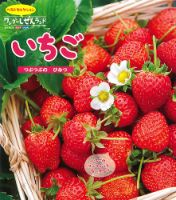 ワンダーしぜんランド 2021年5月号 表紙