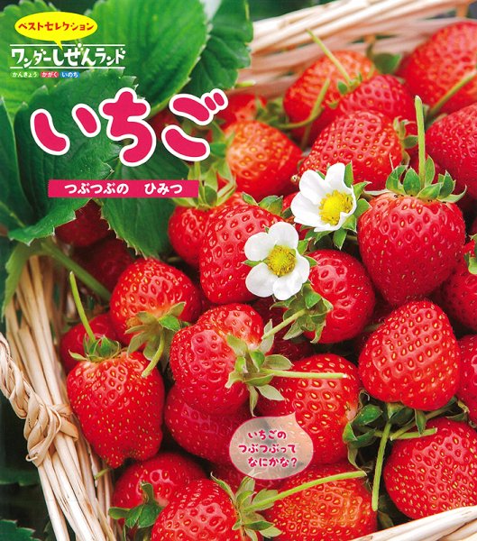 ワンダーしぜんランド 2021年5月号 (発売日2021年05月01日) 表紙