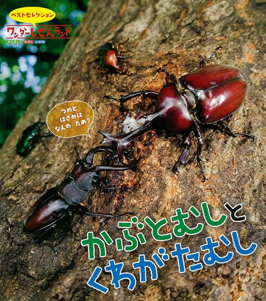 ワンダーしぜんランド 2021年7月号 (発売日2021年07月01日) 表紙