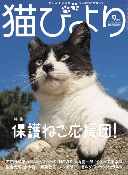 猫びより 猫びより vol.119 (発売日2021年08月12日) 表紙