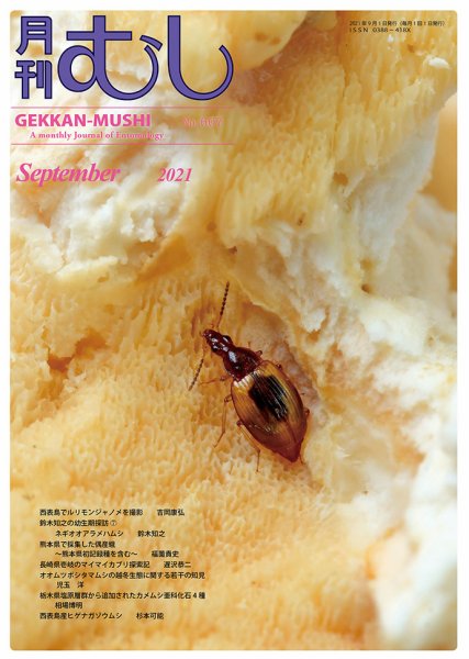 月刊むし 607 (発売日2021年08月20日) 表紙