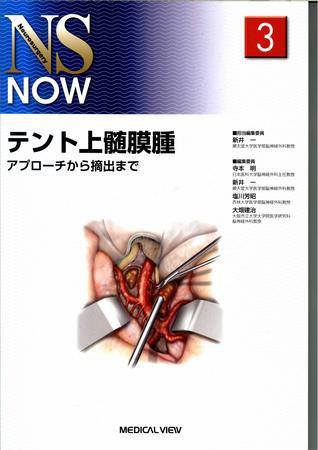 NS NOW No.3 (発売日2008年07月22日) 表紙