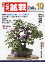 自然と盆栽 バックナンバー 月刊 近代盆栽のバックナンバー (4ページ目 15件表示) | 雑誌