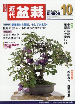 10.紫杜松-大田花き開発ユニット|Bloemfontein 紫杜松寄せ植え 10.紫杜松-大田花き開発ユニット|Bloemfontein 紫杜松寄せ植え