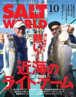 SALT WORLD（ソルトワールド）のバックナンバー | 雑誌/電子書籍/定期購読の予約はFujisan