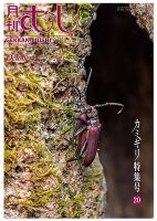 月刊むし 608 表紙