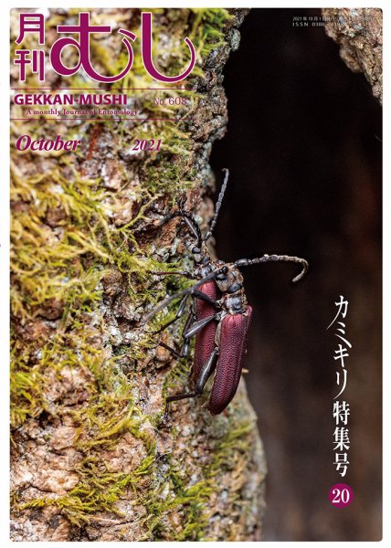 月刊むし 608 (発売日2021年09月20日) 表紙