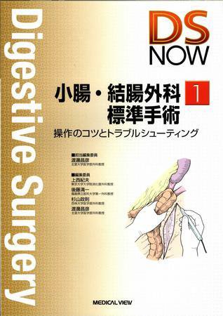 DS NOW（ディーエス ナウ） No.1 (発売日2008年03月26日) 表紙