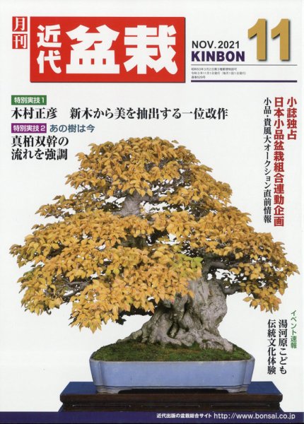 月刊 近代盆栽 2021年11月号 (発売日2021年10月04日) 表紙