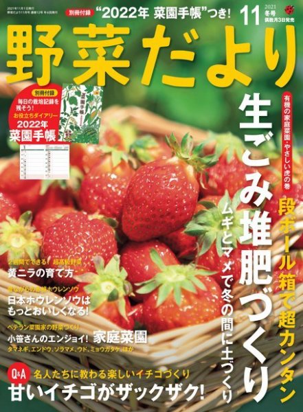 野菜だより 2021年11月号 (発売日2021年10月01日) 表紙
