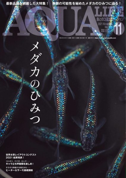 アクアライフ 11月号 (発売日2021年10月11日) 表紙