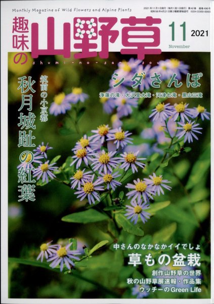 趣味の山野草 2021年11月号 (発売日2021年10月12日) 表紙