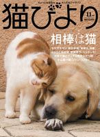 猫びより vol.120 (発売日2021年10月12日) 表紙