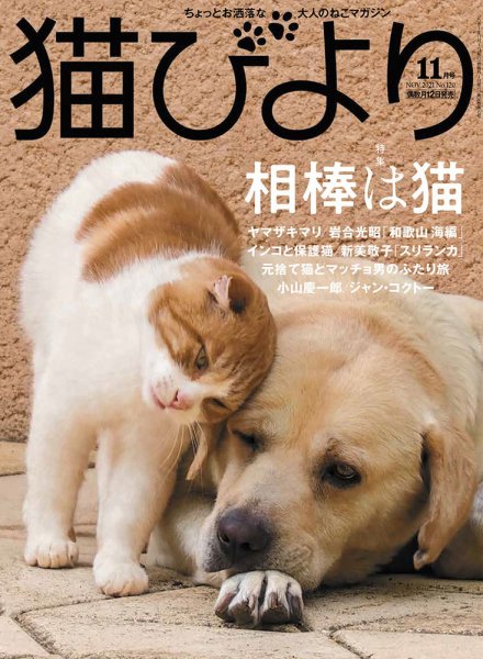 猫びより vol.120 (発売日2021年10月12日) 表紙
