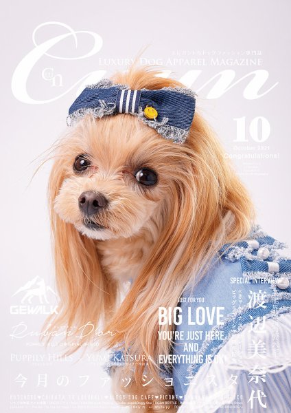Cuun（クーン） 2021年10月号 (発売日2021年10月10日) 表紙