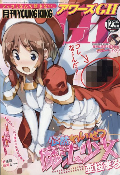 YOUNG KING OURS ＧＨ (ヤングキングアワーズ) 2021年12月号 (発売日2021年10月15日) 表紙