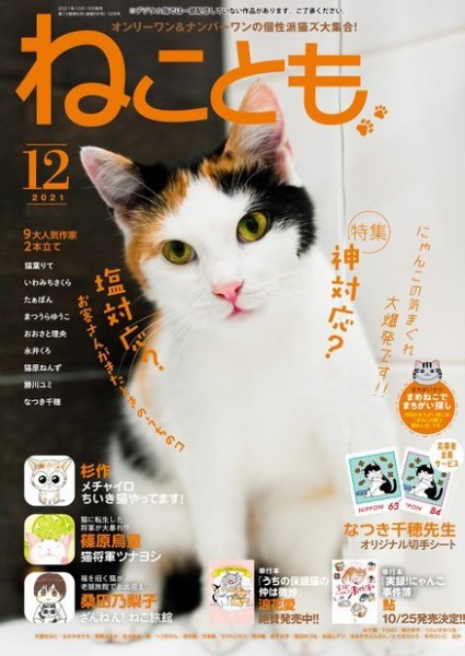 ねことも 2021年12月号 (発売日2021年10月15日) 表紙