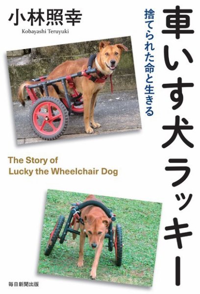 車いす犬ラッキー 2021年05月10日発売号 表紙