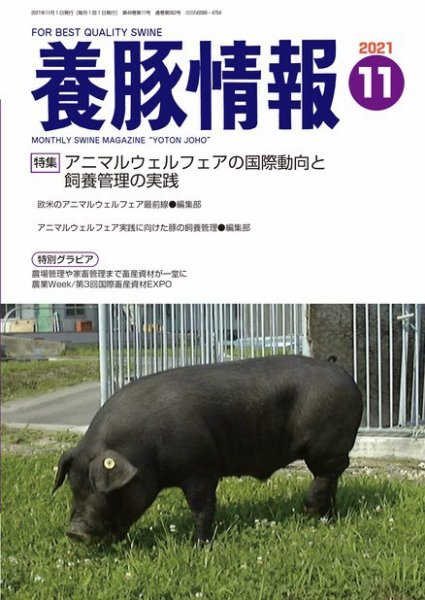 月刊養豚情報 2021年11月号 (発売日2021年11月01日) 表紙