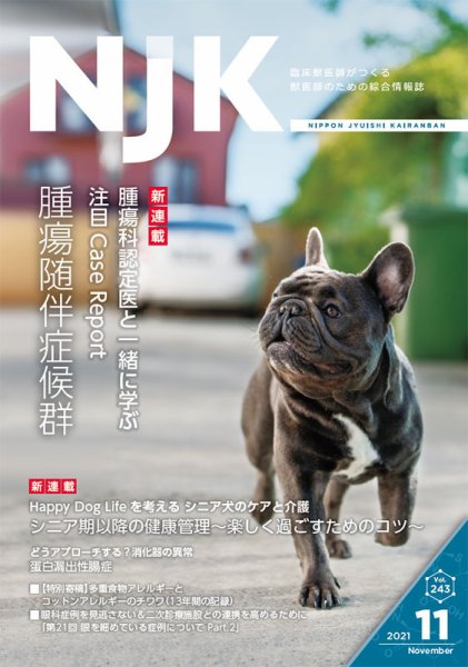 NJK Vol.243 (発売日2021年11月01日) 表紙