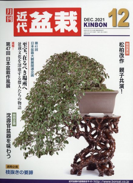 月刊 近代盆栽 2021年12月号 (発売日2021年11月04日) 表紙