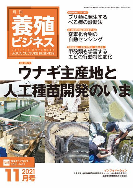 養殖ビジネス 2021年11月号 (発売日2021年11月05日) 表紙