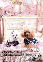 Cuun（クーン） 2021年11月号 (発売日2021年11月10日) 表紙