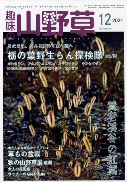 趣味の山野草 2021年12月号 (発売日2021年11月12日) 表紙