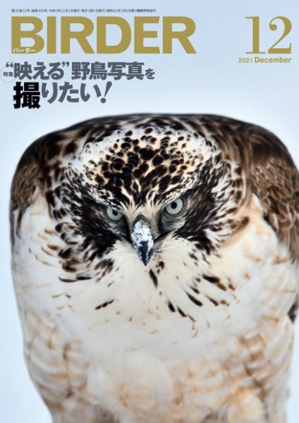 BIRDER（バーダー） 2021年12月号 (発売日2021年11月16日) 表紙