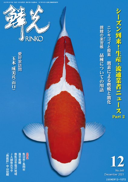鱗光 2021年11月15日発売号 表紙