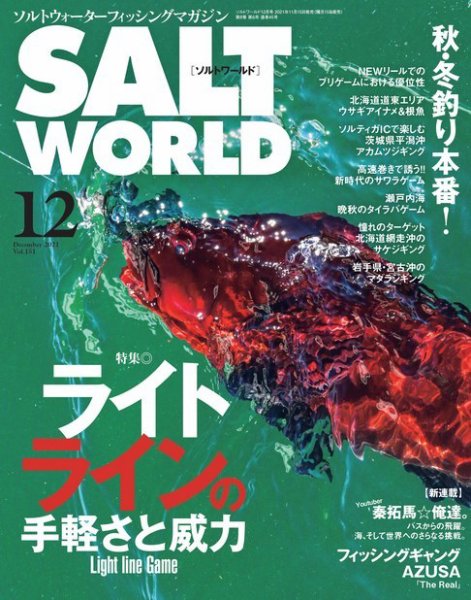 SALT WORLD（ソルトワールド） 2021年12月号 (発売日2021年11月15日) 表紙