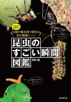 昆虫のすごい瞬間図鑑 表紙