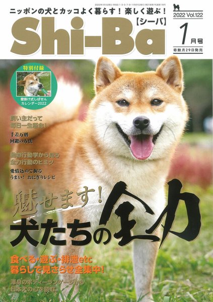 Shi-Ba(シーバ)　 2022年1月号 (発売日2021年11月29日) 表紙