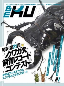 BE-KUWA（ビークワ） 81 (発売日2021年10月09日) | 雑誌/電子書籍/定期 