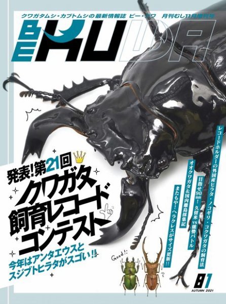 BE-KUWA（ビークワ） 81 (発売日2021年10月09日) 表紙