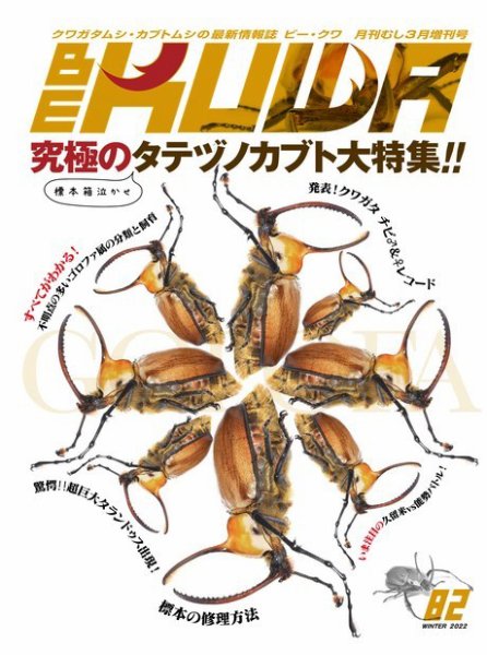 BE-KUWA（ビークワ） 82 (発売日2022年01月22日) 表紙