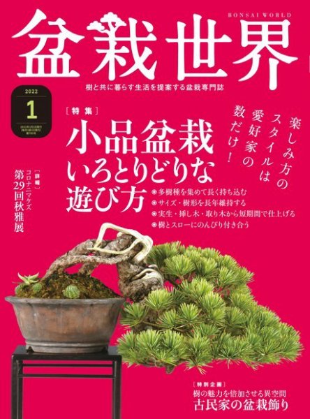 盆栽世界 2022年1月号 (発売日2021年12月03日) 表紙