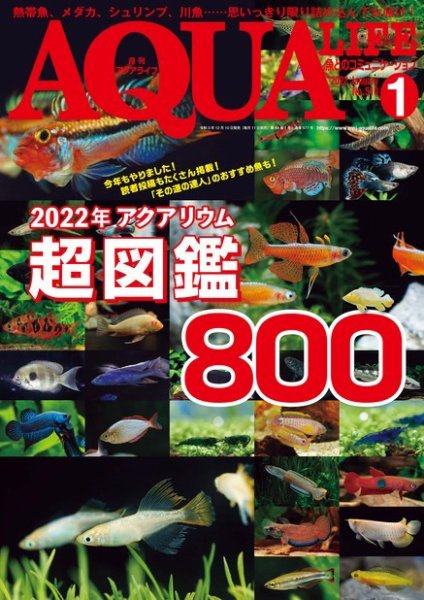 アクアライフ 1月号 (発売日2021年12月10日) 表紙