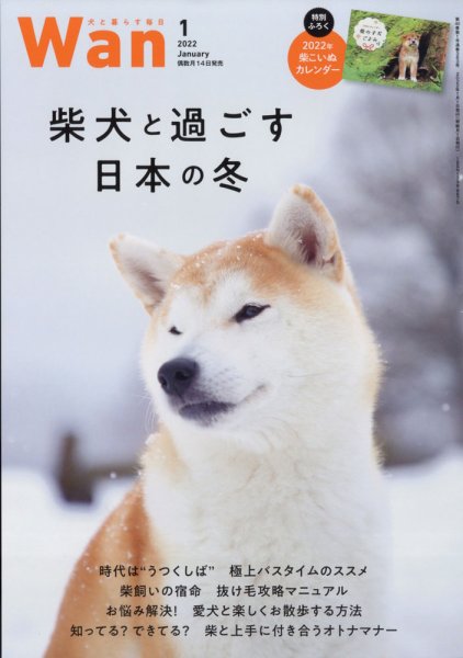 そうさくわがし しばわんわん wan（わん） 2022年1月号 (発売日2021年12月14日) | 雑誌/電子書籍