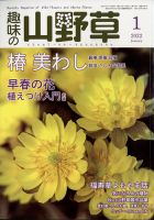 趣味の山野草 2022年1月号 (発売日2021年12月10日) | 雑誌/定期購読の