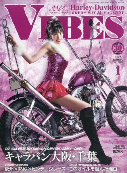 VIBES（バイブズ） 2022年1月号 (発売日2021年12月10日) 表紙