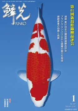 鱗光賞 全日本愛鱗会贈 鯉の置物 - メルカリ