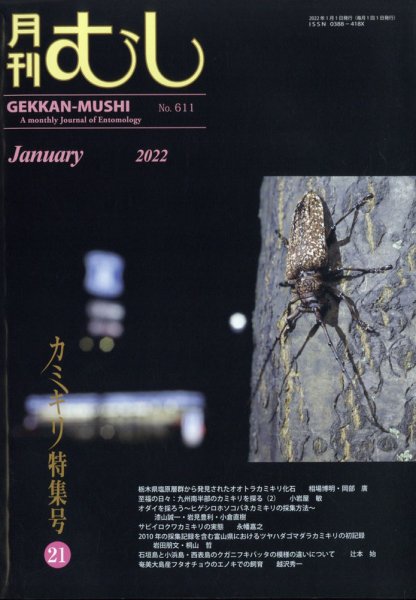月刊むし 611 (発売日2021年12月24日) 表紙