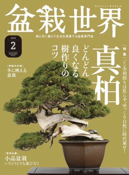 盆栽世界 2022年2月号 (発売日2021年12月27日) 表紙
